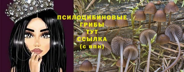 первитин Дмитриев
