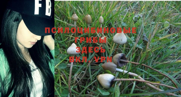 ALPHA PVP Дмитров