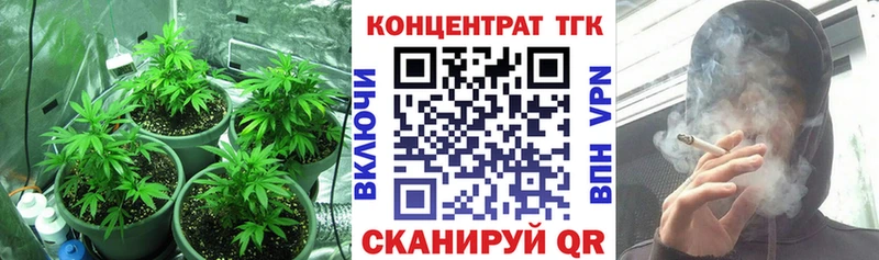 ТГК THC oil  Купить  Кедровый 