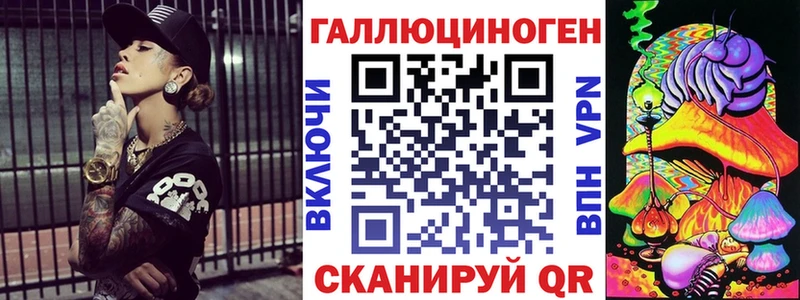 Псилоцибиновые грибы Psilocybe Кедровый